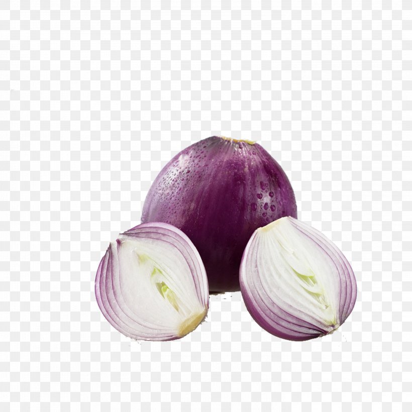 Red Onion Junk Food Diet, PNG, 2953x2953px, Onion, Diet, Dietary Fiber, Disease, Fat Download Free