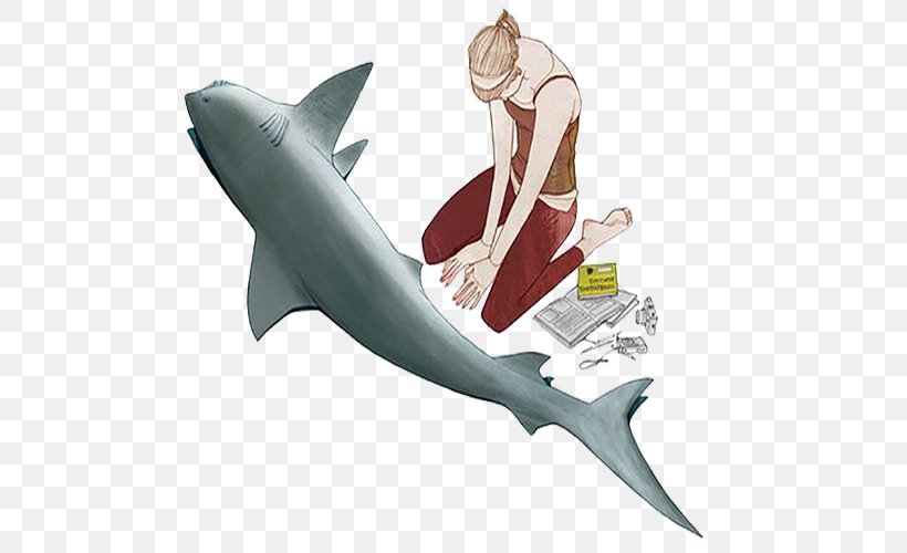 Requiem Shark Illustration, PNG, 500x500px, Shark, Carcharhiniformes, Cartilaginous Fish, Fin, Fish Download Free