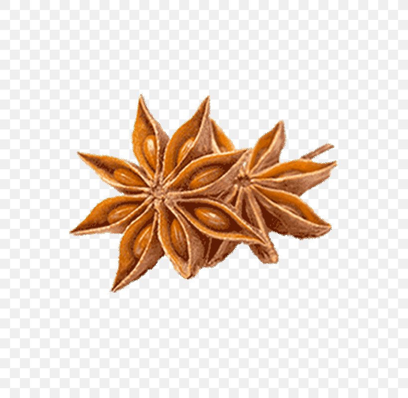 Spice Liqueur Star Anise Liquorice, PNG, 800x800px, Spice, Anise, Cinnamon, Dianhong, Difference Download Free