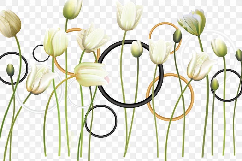 Tulip Flower, PNG, 1500x1000px, Tulip, Cut Flowers, Flora, Floral Design, Floristry Download Free