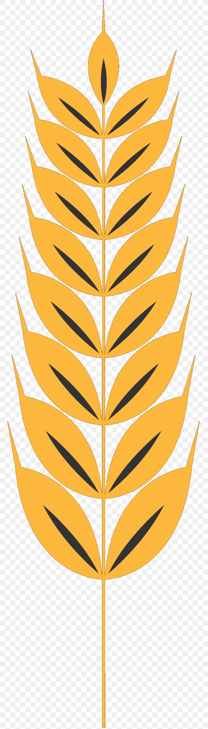 Clip Art Illustration Leaf Line Commodity, PNG, 773x2866px, Leaf, Commodity, Orange Sa, Plant, Symmetry Download Free