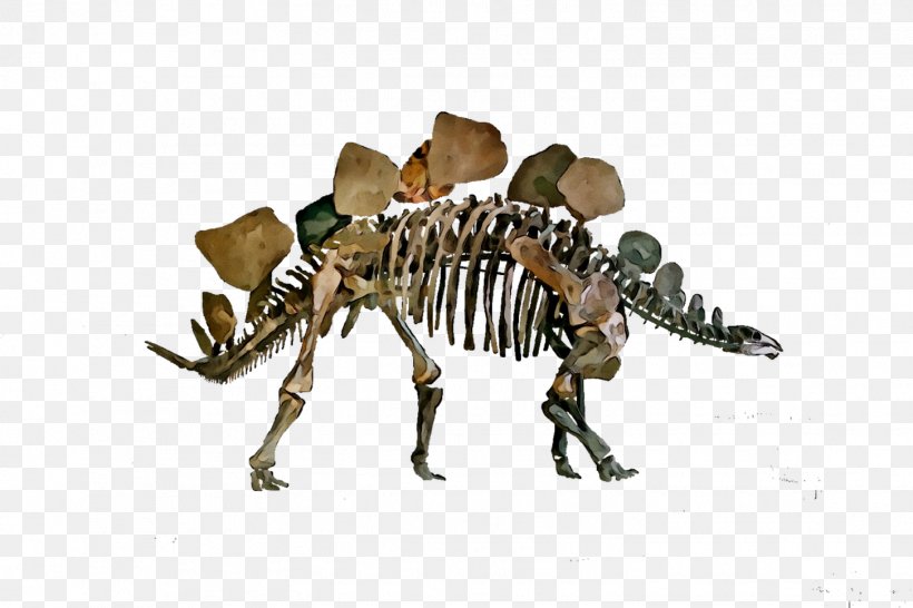 Dinosaur Skeleton, PNG, 1452x968px, Dinosaur, Animal Figure, Extinction, Organism, Pachycephalosaurus Download Free