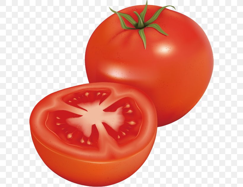 Tomato Clip Art, PNG, 622x631px, Tomato, Bush Tomato, Diet Food, Food, Fruit Download Free