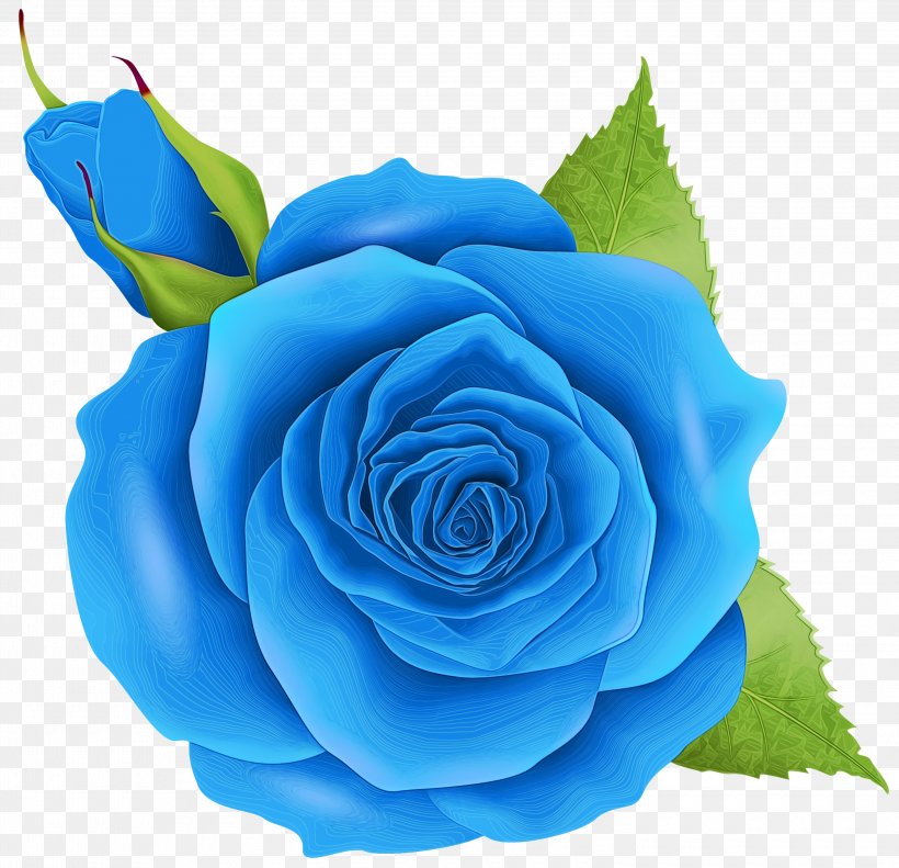 Blue Watercolor Flowers, PNG, 3000x2897px, Watercolor, Artificial Flower, Blue, Blue Rose, Cabbage Rose Download Free