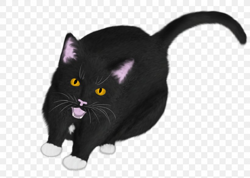 Bombay Cat Black Cat American Wirehair Kitten Whiskers, PNG, 1008x720px, Bombay Cat, American Wirehair, Black, Black Cat, Black M Download Free