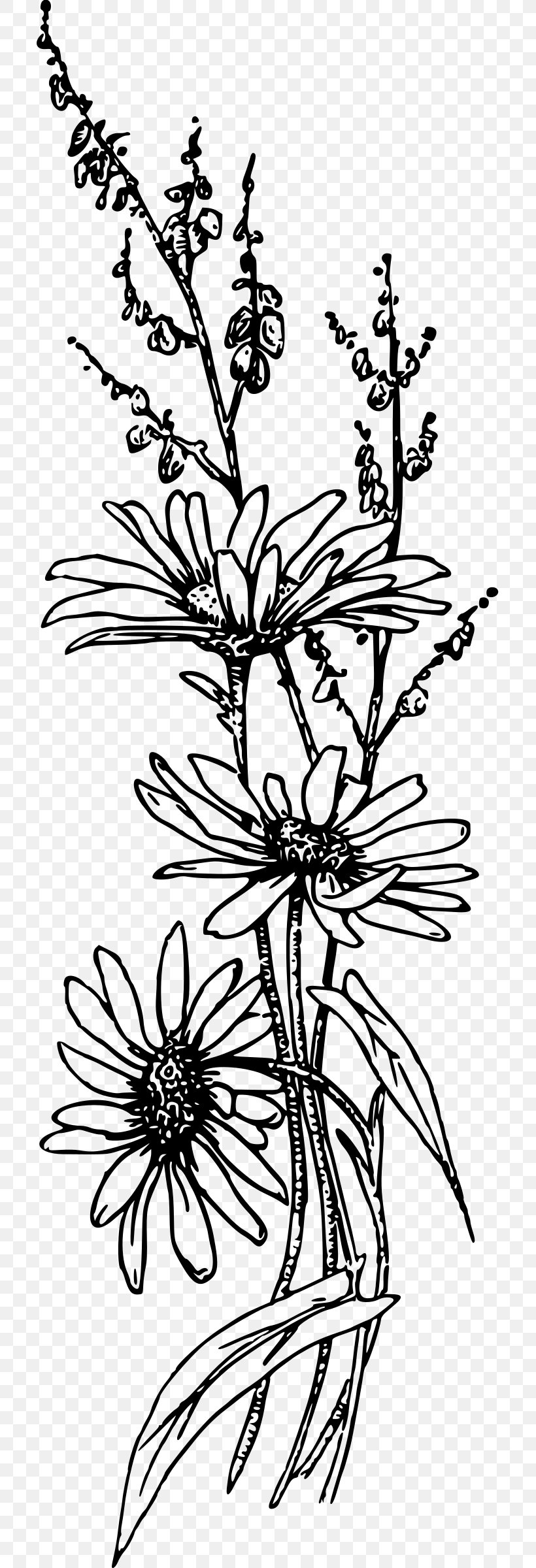Flower Clip Art, PNG, 707x2400px, Flower, Area, Black And White, Box Jellyfish, Branch Download Free