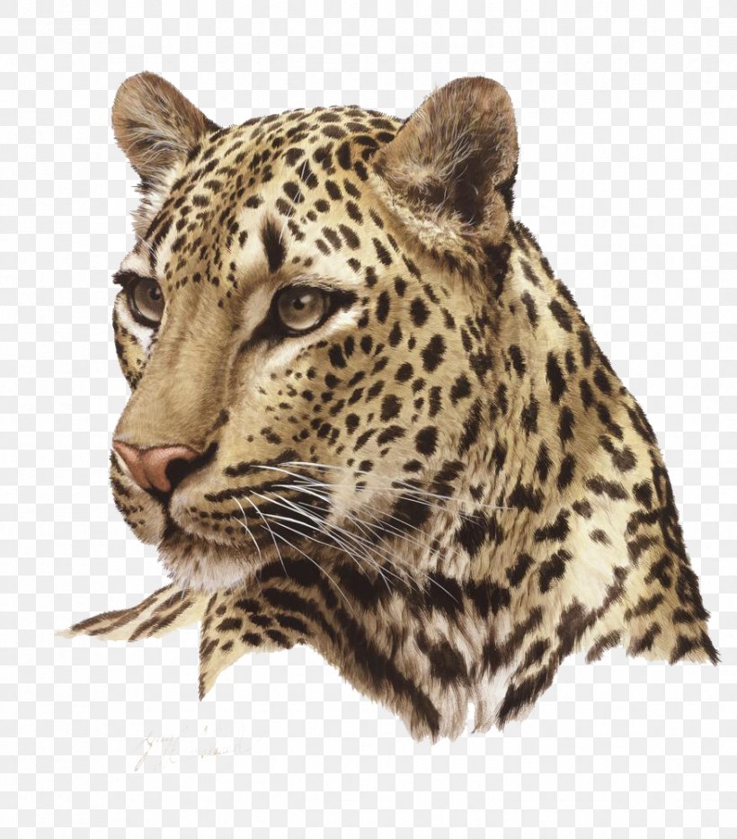 Lion Felidae Cheetah Cat, PNG, 878x1000px, Leopard, Animal Print, Art, Artist, Big Cat Download Free