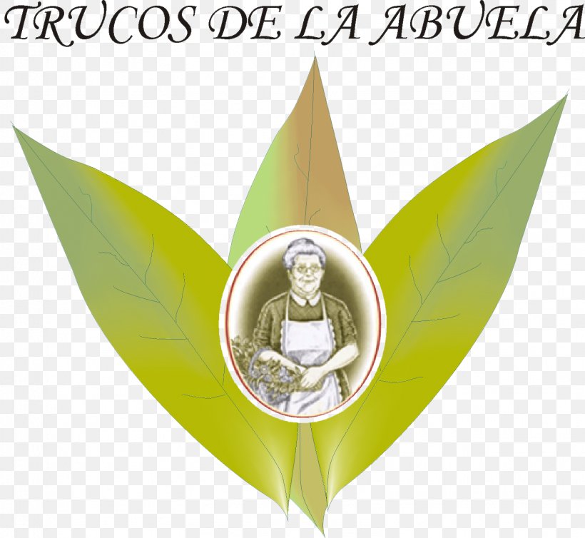 Los Remedios De La Abuela Para Cada Estación Del Año Logo Brand Season Font, PNG, 1559x1434px, Logo, Brand, Season Download Free
