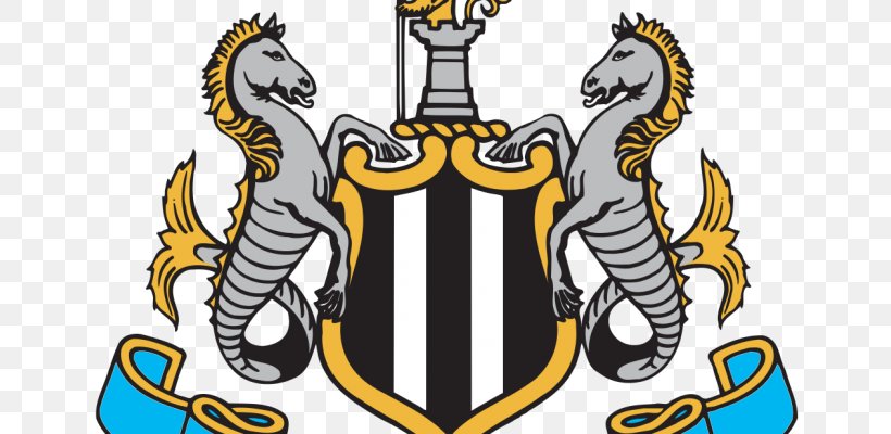 Newcastle United F.C. St James' Park Sunderland A.F.C. English Football League Manchester United F.C., PNG, 660x400px, Newcastle United Fc, Efl Championship, English Football League, Fa Cup, Football Download Free