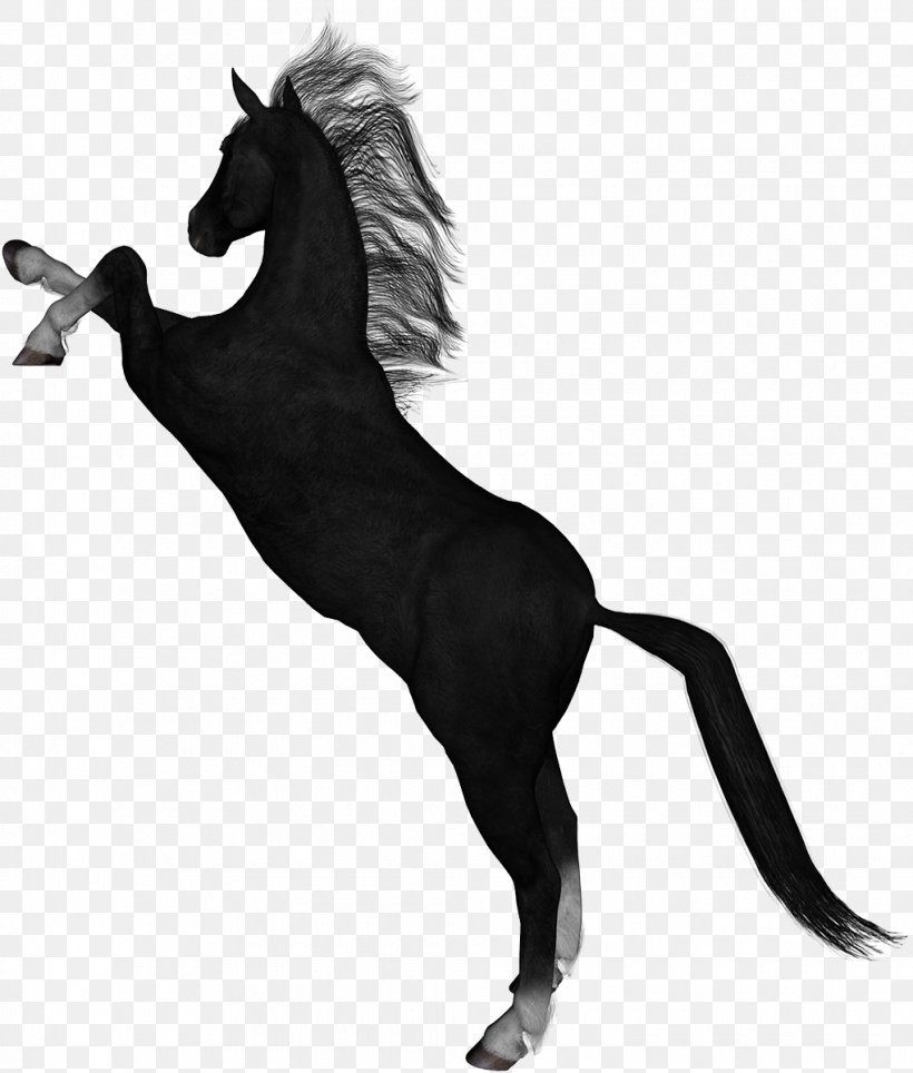Stallion Mustang Thoroughbred Foal, PNG, 1020x1200px, Stallion, Black And White, Fictional Character, Foal, Gimp Download Free