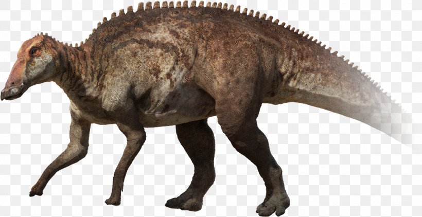 Stegosaurus Pachyrhinosaurus Parksosaurus Late Cretaceous Edmontosaurus Annectens, PNG, 1092x563px, Stegosaurus, Animal Figure, Ankylosaurus, Dinosaur, Dinosaurs Download Free