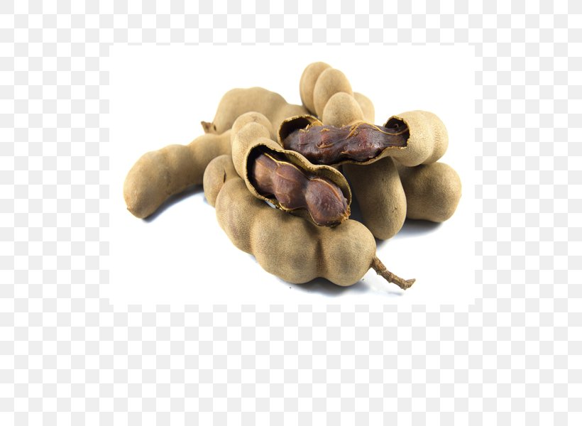 Tamarind Castanospora Fruit Vegetarian Cuisine Seed, PNG, 600x600px, Tamarind, Business, Castanospora, Commodity, Export Download Free