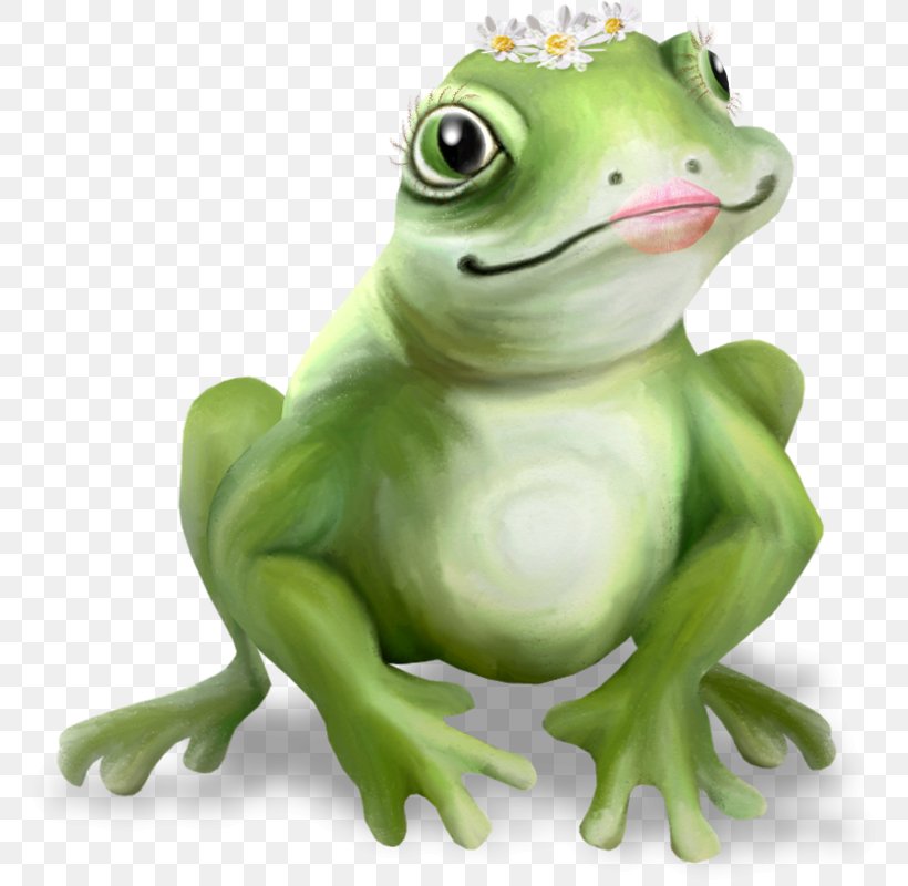 True Frog Common Frog The Frog Prince Tree Frog, PNG, 772x800px, True Frog, Amphibian, Animal, Common Frog, Crocodile Download Free
