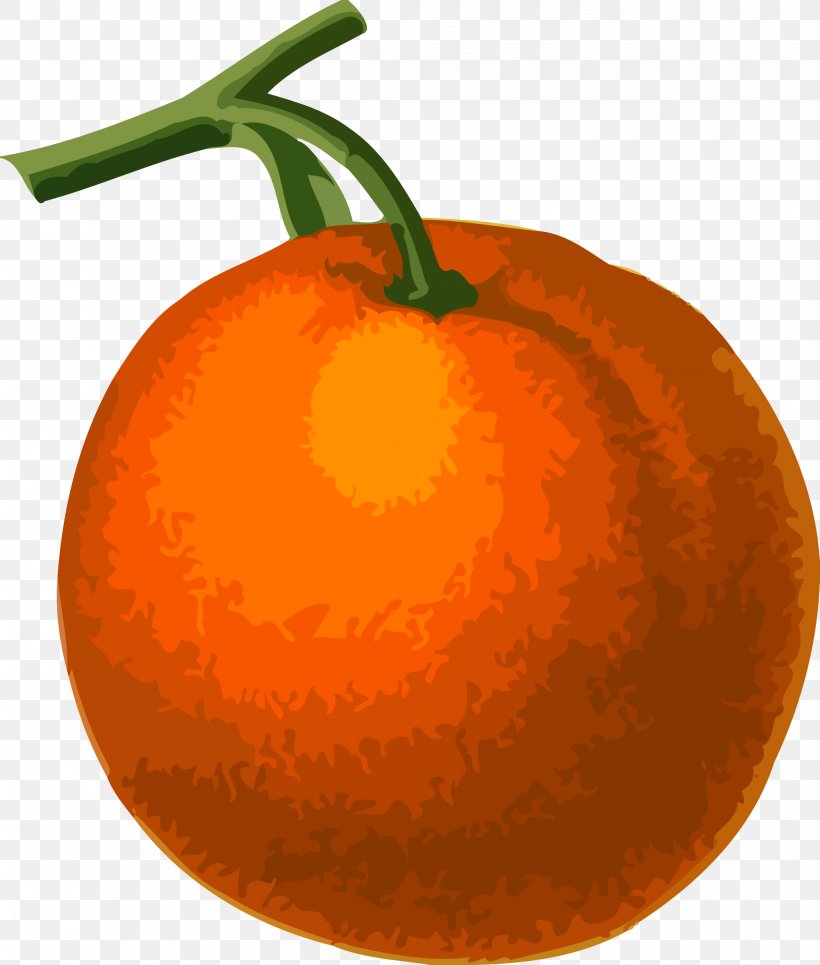 Clementine Tangerine Drawing Clip Art, PNG, 2038x2400px, Clementine, Bitter Orange, Calabaza, Cdr, Citrus Download Free