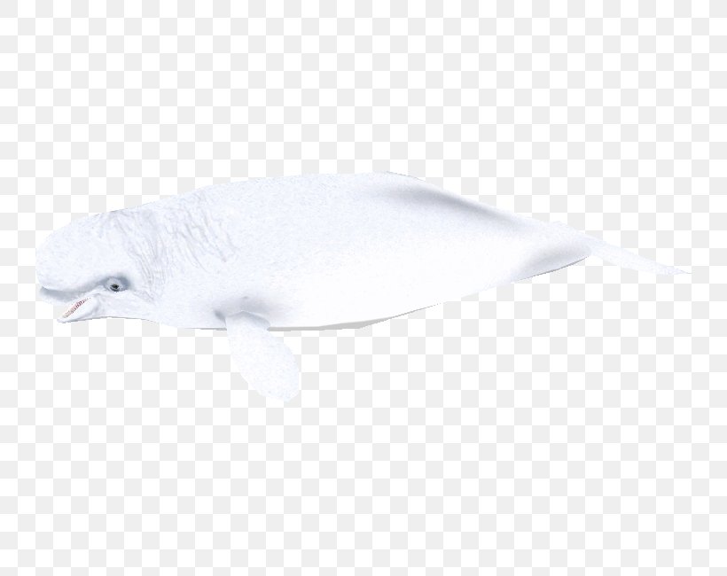 Dolphin Feather Beak Fish, PNG, 750x650px, Dolphin, Beak, Feather, Fish, Mammal Download Free