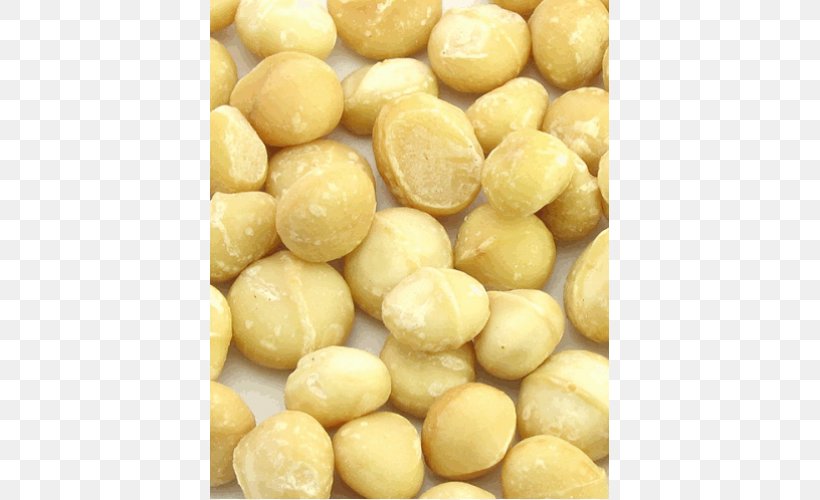 Macadamia Nut Australian Cuisine Organic Food, PNG, 500x500px, Macadamia, Australian Cuisine, Cashew, Commodity, Dried Fruit Download Free