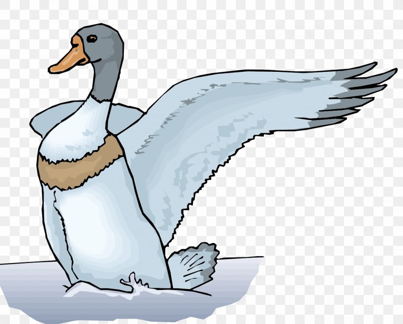 Mallard Duck Euclidean Vector Illustration, PNG, 1421x1142px, Mallard, Beak, Bird, Duck, Ducks Geese And Swans Download Free