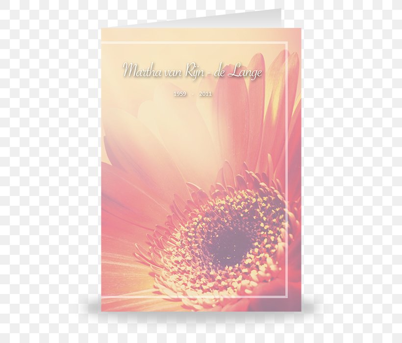 Transvaal Daisy Greeting & Note Cards Font, PNG, 600x700px, Transvaal Daisy, Flower, Flowering Plant, Gerbera, Greeting Download Free