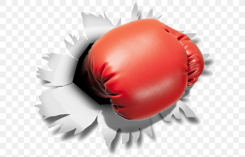 Boxing Glove Punching & Training Bags Sporting Goods, PNG, 700x527px, Boxing, Boxing Glove, Boxing Training, Everlast, Glove Download Free