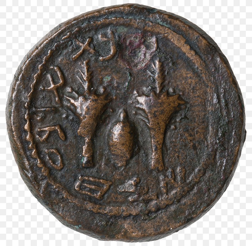 Coin .org Battle Of Actium Copper Egypt, PNG, 800x800px, Coin, Artifact, Augustus, Battle Of Actium, Bronze Download Free