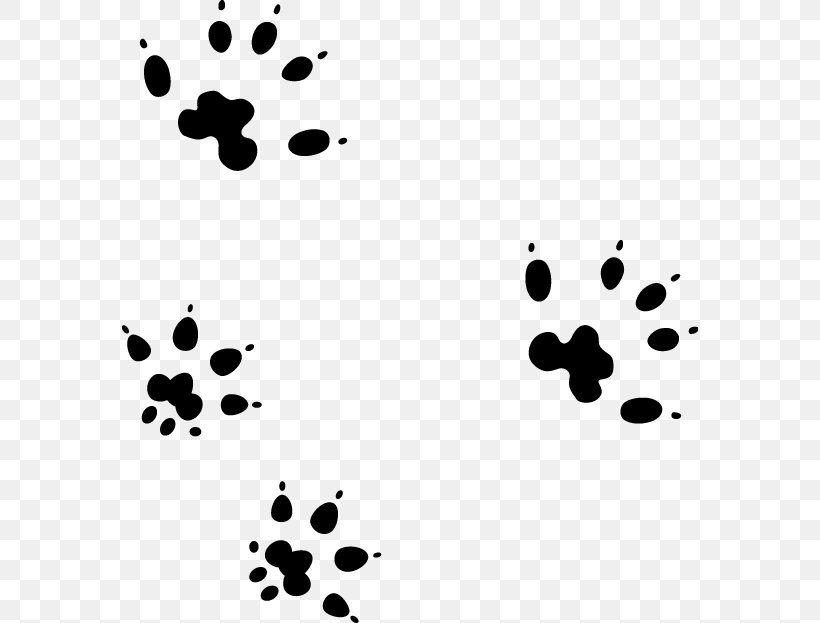 Computer Mouse Paw Animal Track Mouse Mats, PNG, 576x623px, Computer Mouse, Animal, Animal Track, Black, Black And White Download Free