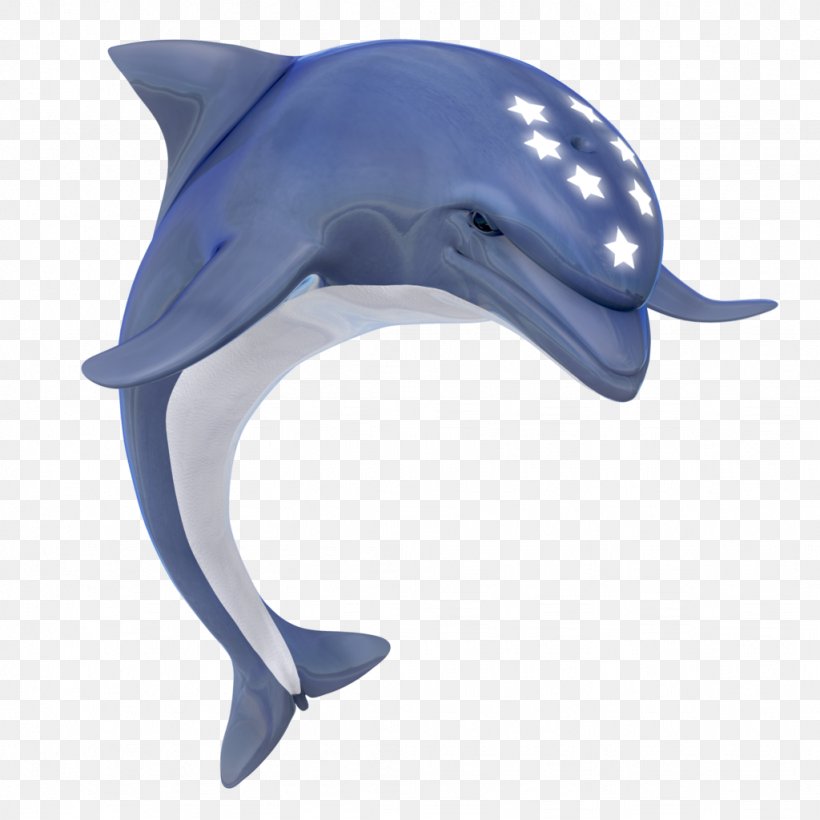 Ecco The Dolphin Common Bottlenose Dolphin La Plata Dolphin Tucuxi Rough-toothed Dolphin, PNG, 1024x1024px, Ecco The Dolphin, Bottlenose Dolphin, Cetacea, Common Bottlenose Dolphin, Dolphin Download Free