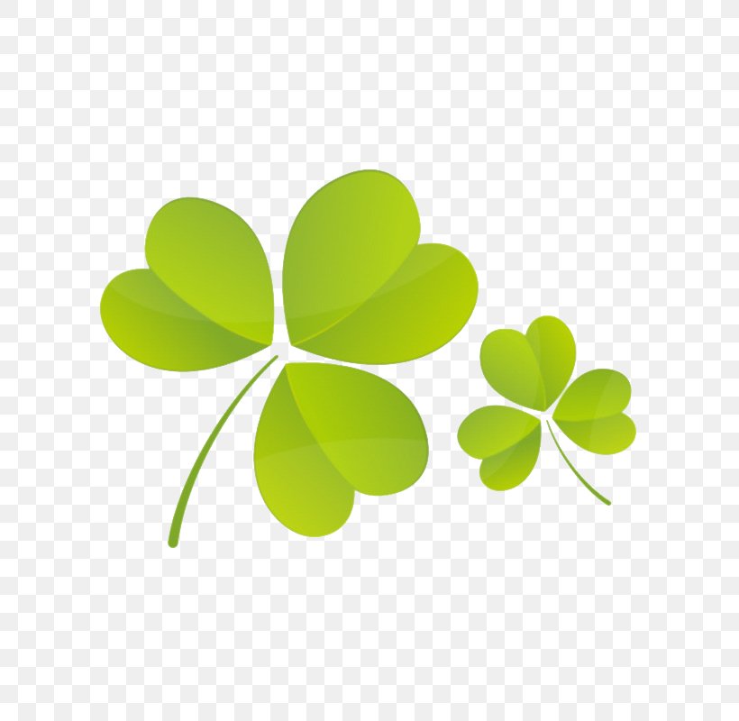 IQOS Four-leaf Clover Four-leaf Clover, PNG, 800x800px, Iqos, Baidu Tieba, Clover, Coreldraw, Fourleaf Clover Download Free