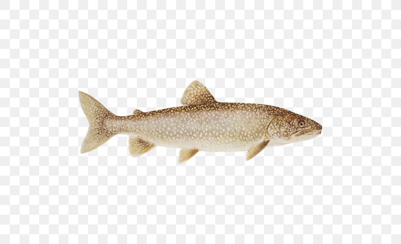 Salmon Cutthroat Trout Rainbow Trout Lake Trout, PNG, 500x500px, Salmon, Animal Figure, Bony Fish, Cod, Cutthroat Trout Download Free