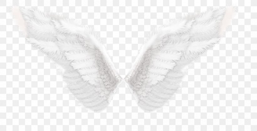 Wing Butterfly Shoe H&M Angle, PNG, 1000x512px, Wing, Black, Black And White, Butterflies And Moths, Butterfly Download Free