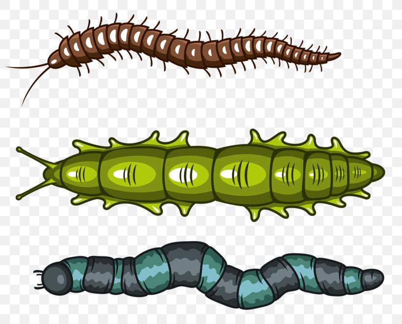 Caterpillar Inc. Worm, PNG, 800x660px, Caterpillar, Caterpillar Inc, Continuous Track, Earthworm, Insect Download Free