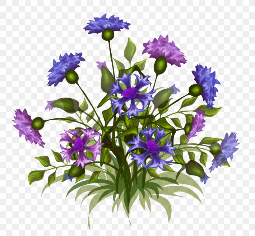 Floral Design Flower Vector Graphics Image Illustration, PNG, 1280x1186px, Floral Design, Art, Aster, Bellflower, Bellflower Family Download Free
