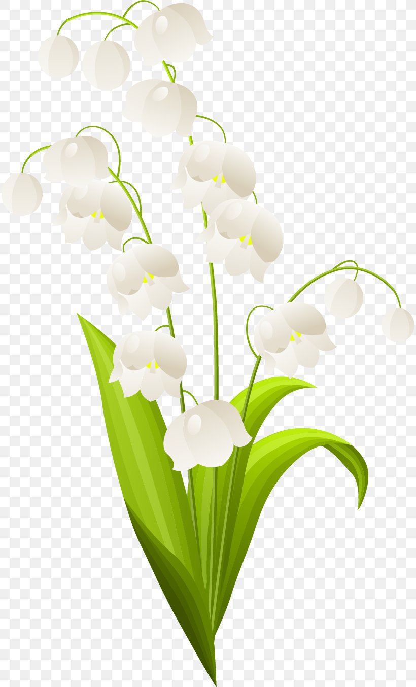 Lily Of The Valley Flower Clip Art, PNG, 814x1354px, Lily Of The Valley, Art, Cut Flowers, Drawing, Floral Design Download Free