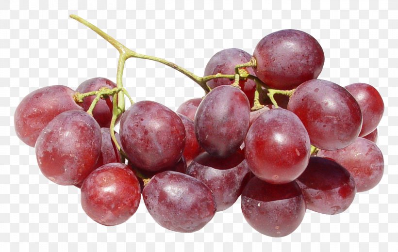 Red Wine Common Grape Vine Dog, PNG, 1310x832px, Red Wine, Common Grape Vine, Dog, Extract, Food Download Free