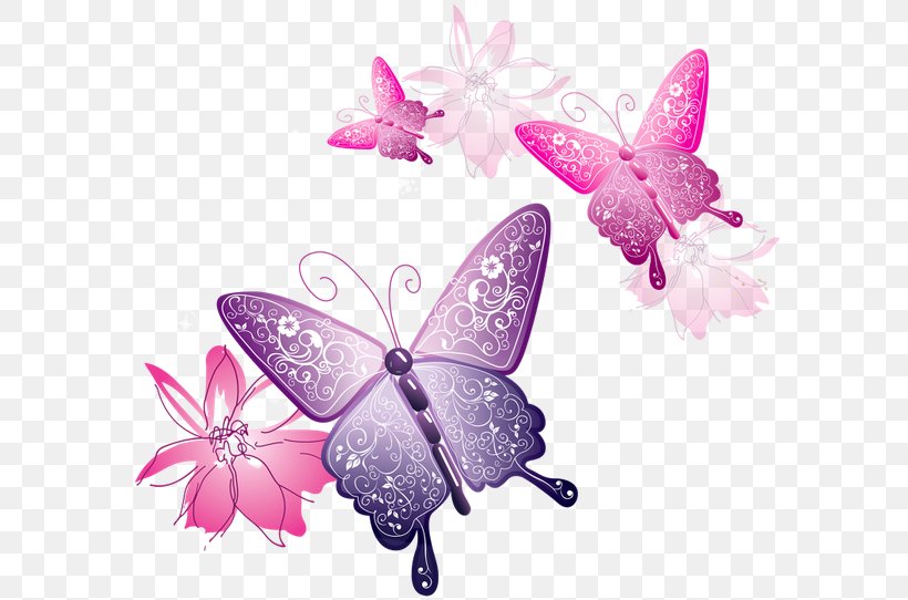 Butterfly Clip Art, PNG, 600x542px, Butterfly, Arthropod, Brush Footed Butterfly, Document, Freeplane Download Free
