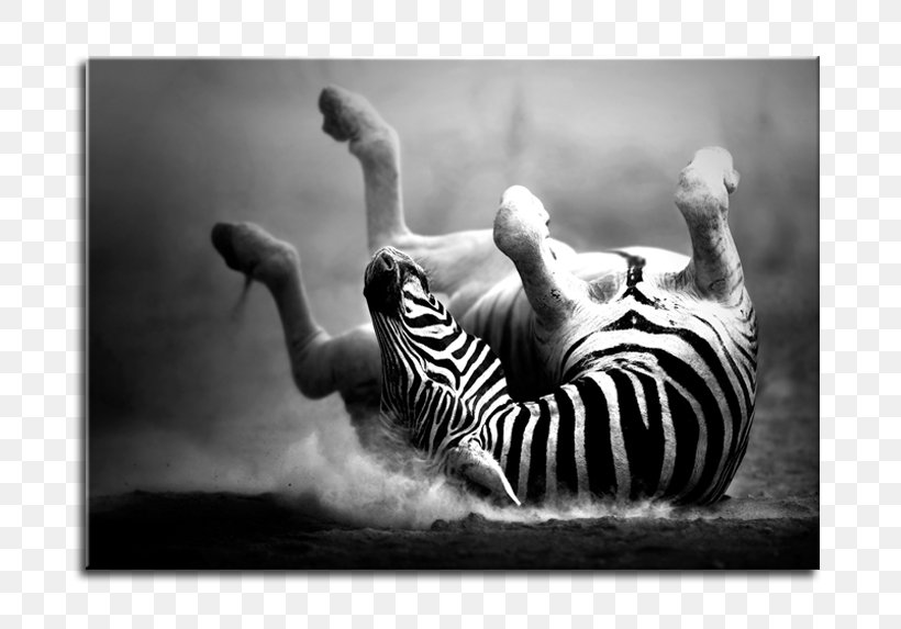 Canvas Print Stock Photography Royalty-free, PNG, 764x573px, Canvas Print, Art, Black And White, Canvas, Fotolia Download Free