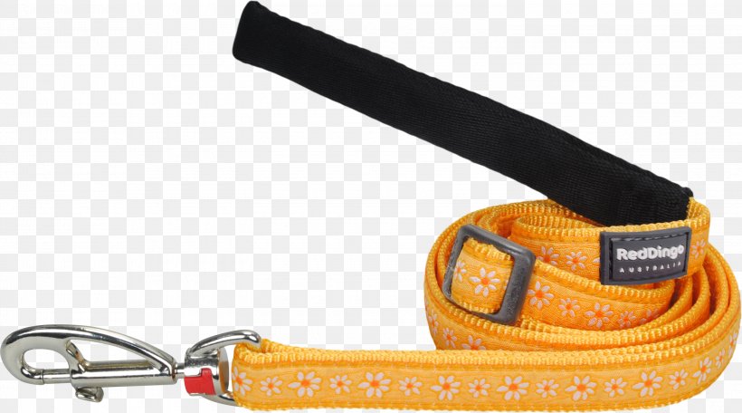 Leash Strap, PNG, 3000x1669px, Leash, Computer Hardware, Fashion Accessory, Hardware, Orange Download Free