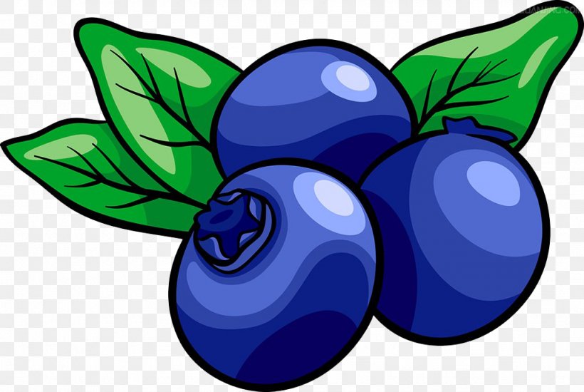 Muffin Blueberry Royalty-free Clip Art, PNG, 1024x687px, Muffin, Berry, Blueberry, Butterfly, Cartoon Download Free