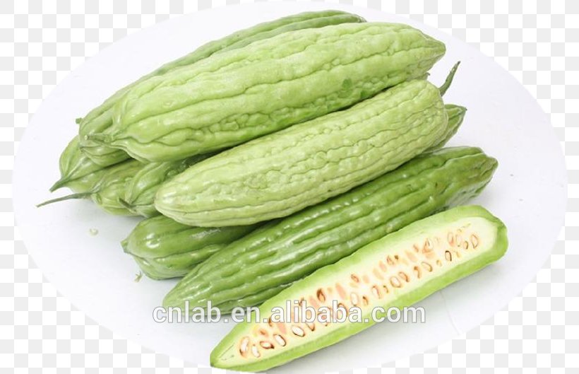 Bitter Melon Vegetable Food Bitterness Blood Sugar, PNG, 789x529px, Bitter Melon, Auglis, Bitterness, Blood Sugar, Commodity Download Free