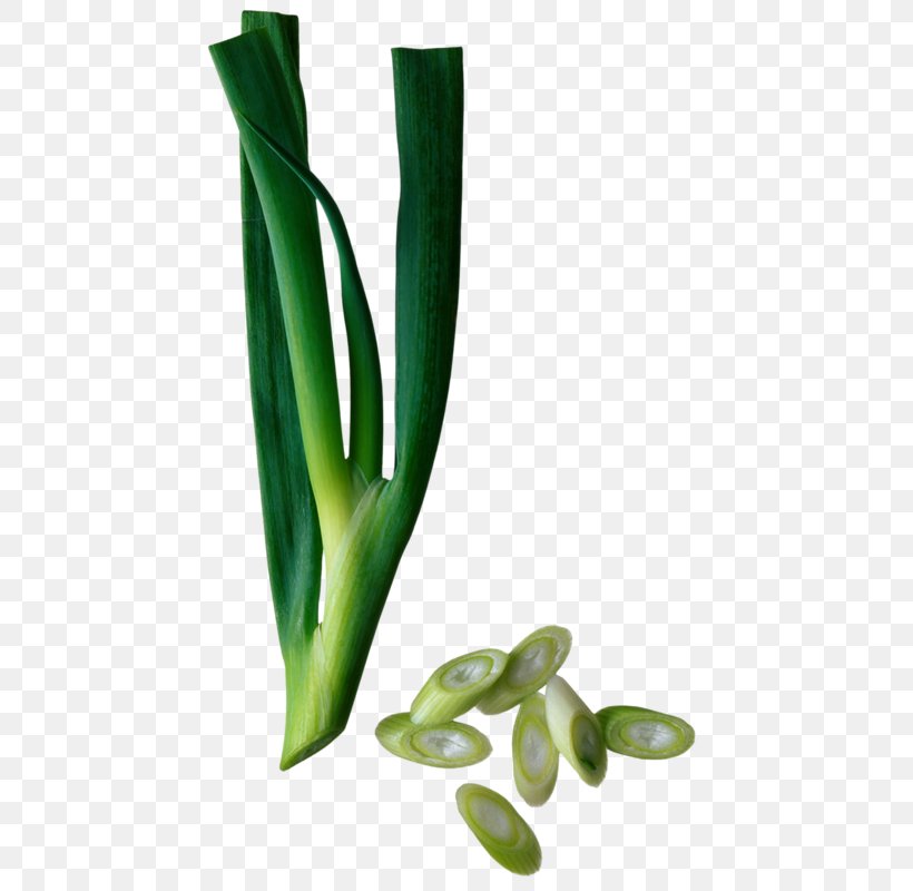 Chinese Cuisine Asian Cuisine Chives Onion Scallion, PNG, 472x800px, Chinese Cuisine, Allium Fistulosum, Asian Cuisine, Chives, Commodity Download Free