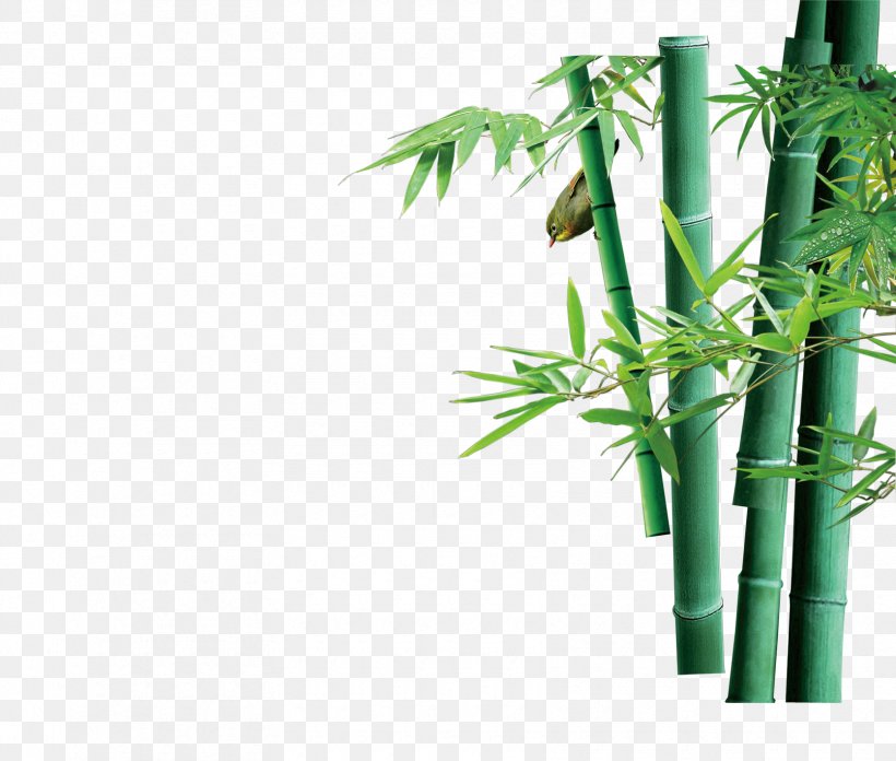 Green Bamboo Bamboe Computer File, PNG, 1670x1419px, Green, Bamboe, Bamboo, Flowerpot, Grass Download Free