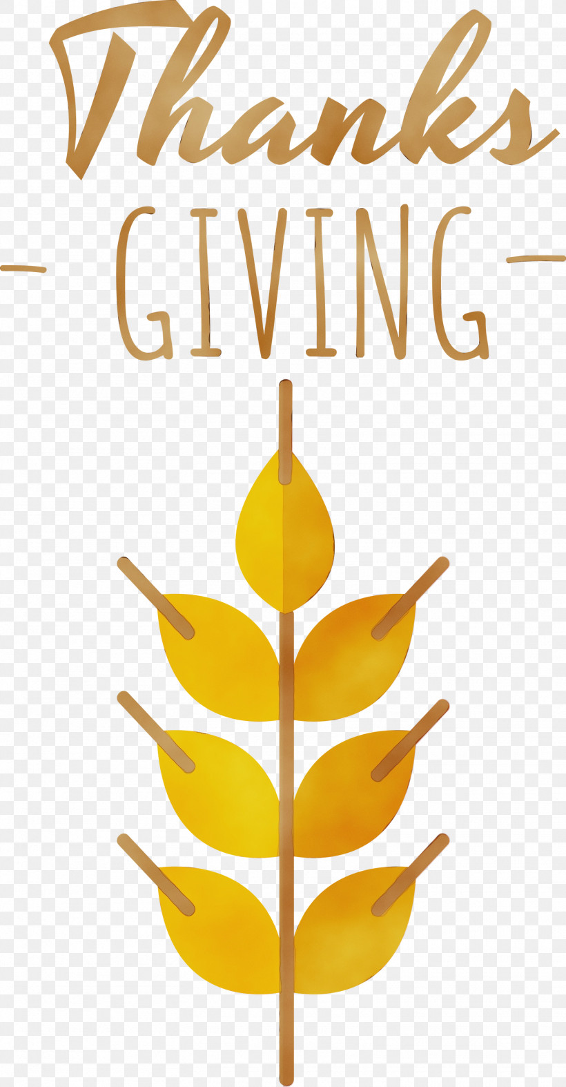Leaf Line Font Yellow Tree, PNG, 1562x3000px, Thanks Giving, Autumn, Biology, Fruit, Geometry Download Free