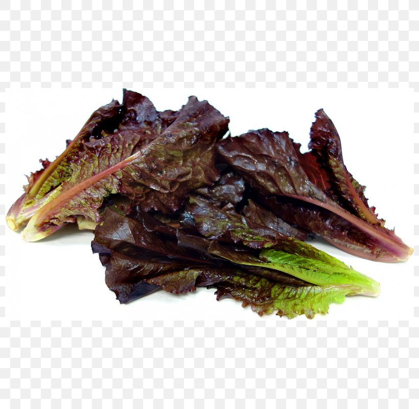 Romaine Lettuce Red Leaf Lettuce Leaf Vegetable Mesclun, PNG, 800x800px, Romaine Lettuce, Animal Source Foods, Cherry Tomato, Cucumber, Food Download Free