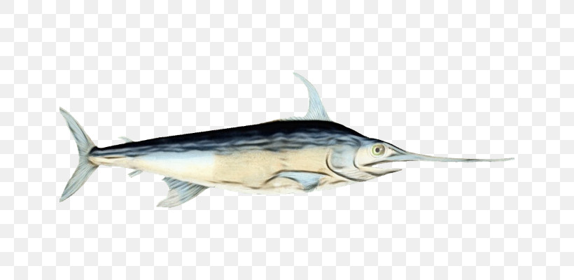 Bony Fishes Swordfish Tuna Oily Fish Sardine, PNG, 650x400px, Watercolor, Billfish, Bony Fishes, Fish, Mackerel Download Free