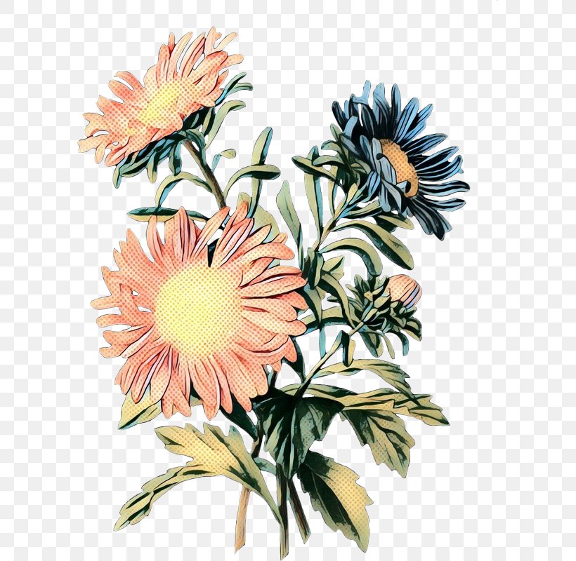 Floral Design Cut Flowers Chrysanthemum Transvaal Daisy, PNG, 599x800px, Floral Design, Art, Aster, Botany, Chrysanthemum Download Free