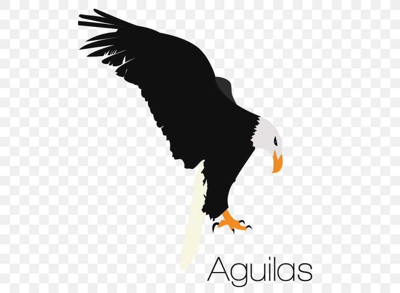 Bald Eagle Euclidean Vector Logo Graphics, PNG, 500x600px, Bald Eagle, Album, Beak, Bird, Bird Of Prey Download Free