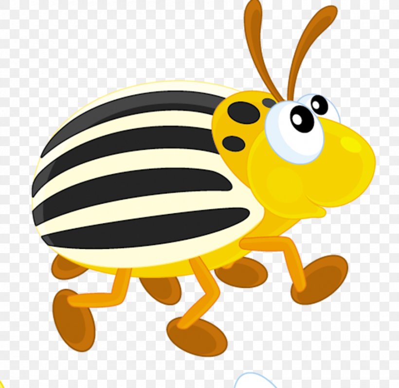 Colorado Potato Beetle Honey Bee, PNG, 900x875px, Beetle, Bee, Butterfly, Cartoon, Colorado Potato Beetle Download Free
