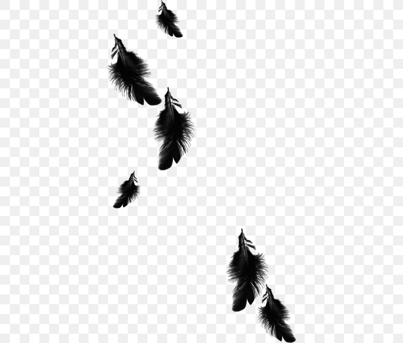Feather Clip Art Black Euclidean Vector, PNG, 387x699px, Feather, Black, Black And White, Color, Gratis Download Free