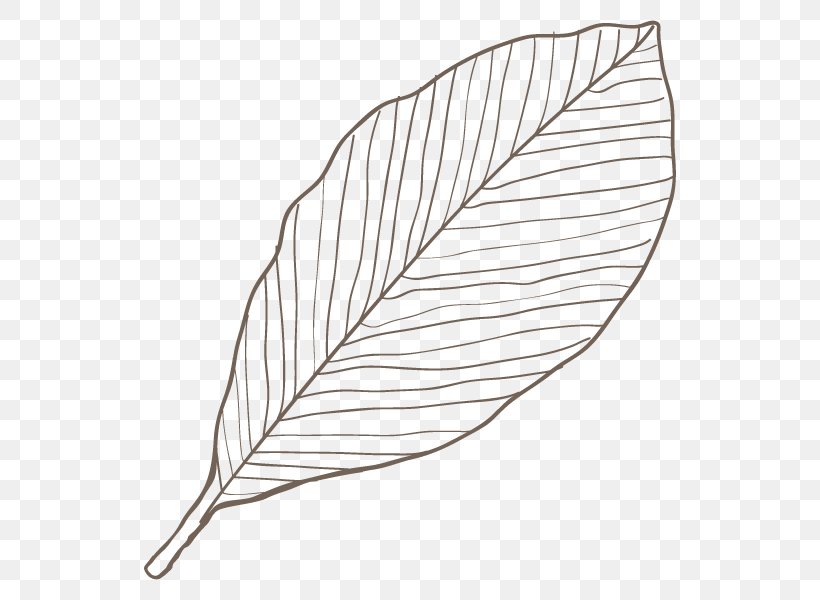 Line Art Leaf Angle, PNG, 600x600px, Leaf, Area, Art, Black And White, Line Art Download Free