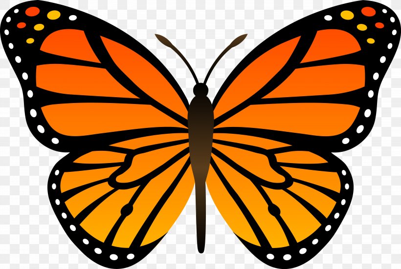 Monarch Butterfly Insect Clip Art, PNG, 5920x3982px, Butterfly, Artwork, Biological Life Cycle, Brush Footed Butterfly, Caterpillar Download Free