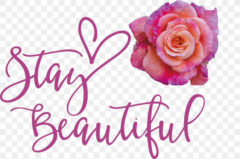 Stay Beautiful Fashion, PNG, 2999x1985px, Stay Beautiful, Cut Flowers, Fashion, Floral Design, Flower Download Free